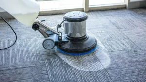 Carpet Cleaning Services